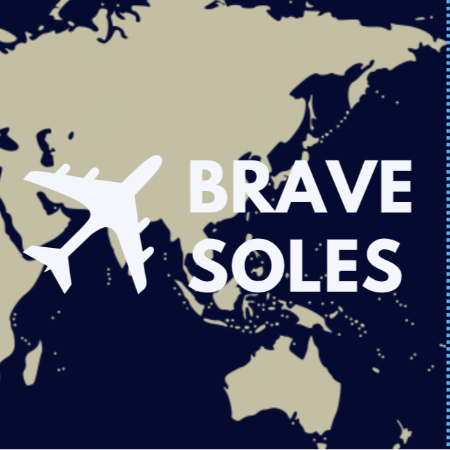 Brave Soles Aircraft Collection image of global map